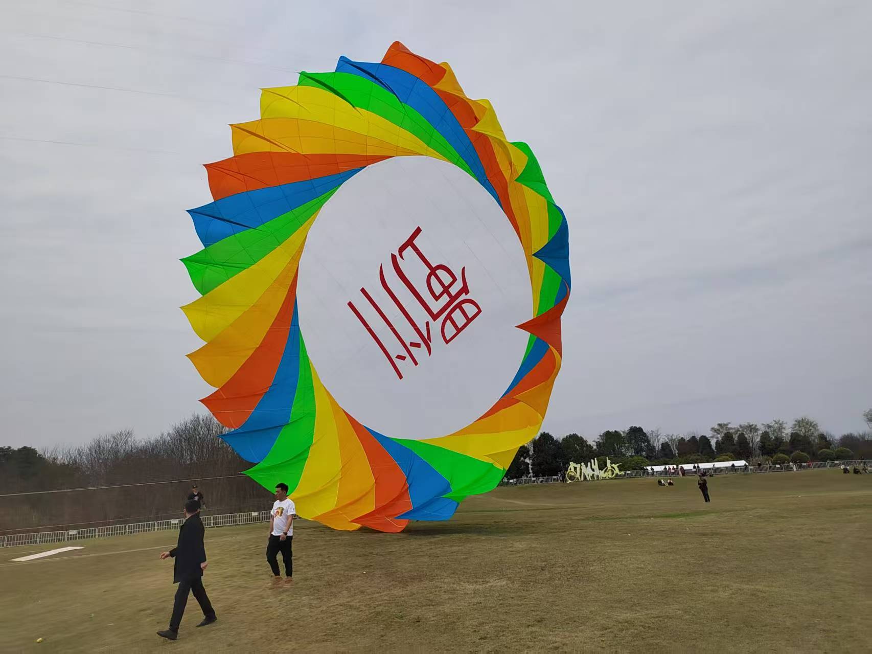 吴忠市软体风筝定制风筝批发 - 排名